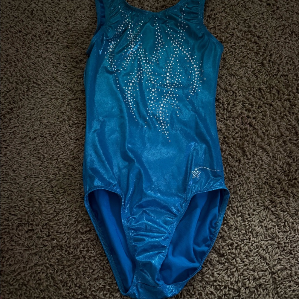 Blue Rhinestone Leotard